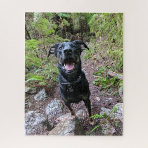 Cute Black Dog Lab Shepherd Picture Photo Nature Jigsaw Puzzle