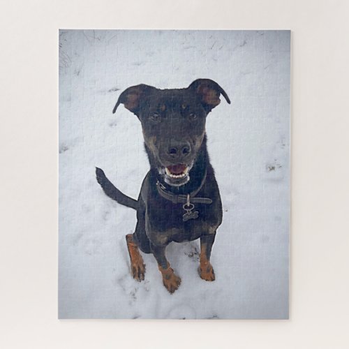 Cute Black Dog Lab Shepherd Picture Photo Snow Jigsaw Puzzle