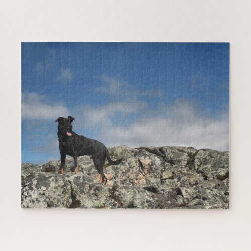 Cute Black Dog Mutt Lab Shephered Picture Photo Jigsaw Puzzle