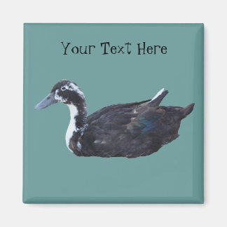 Cute Black Duck Farm Animal Magnet