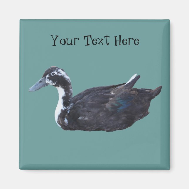 Cute Black Duck Farm Animal Magnet (Front)
