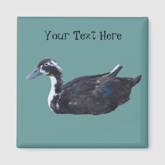 Cute Black Duck Farm Animal Magnet