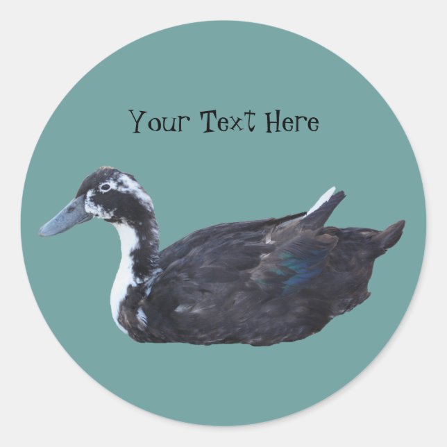 Cute Black Duck Farm Animal Sticker (Front)