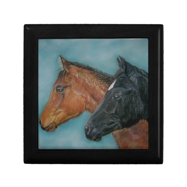 cute black foal chestnut foal colt horses gift box (Front)