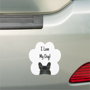Cute Black French Bulldog Frenchie Photograph: Car Magnet
