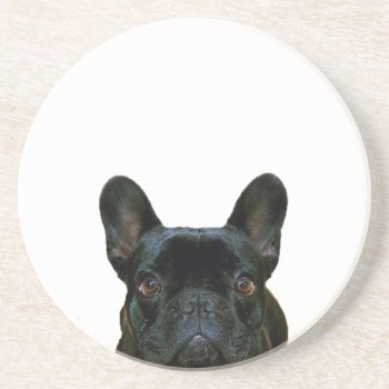 Cute Black French Bulldog Frenchie Photograph: Drink Coaster by CorgisandThings at Zazzle