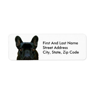Cute Black French Bulldog Frenchie Photograph: Label