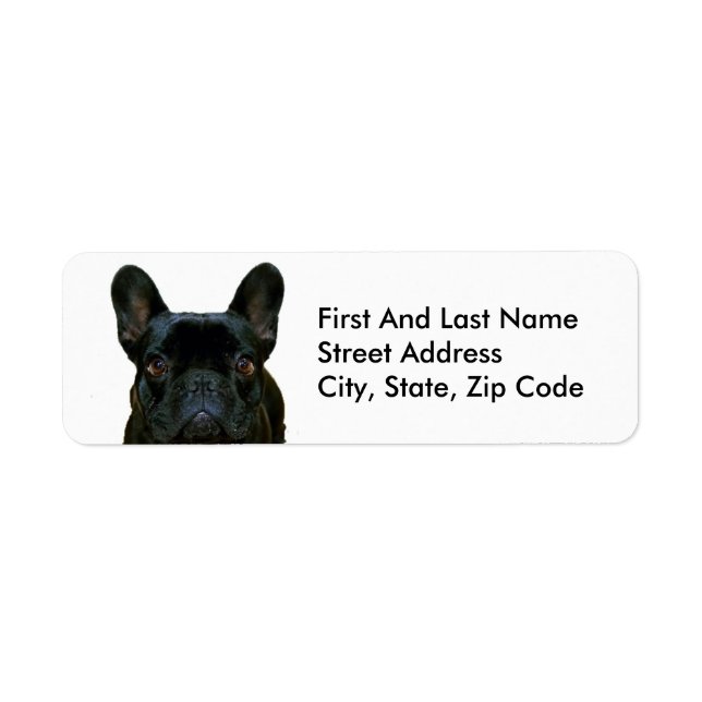 Cute Black French Bulldog Frenchie Photograph: Label (Front)