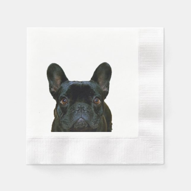 Cute Black French Bulldog Frenchie Photograph: Napkins (Front)