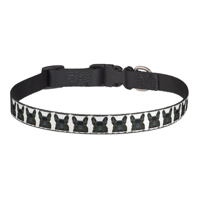 Cute Black French Bulldog Frenchie Photograph: Pet Collar (Front)