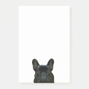 Cute Black French Bulldog Frenchie Photograph: Post-it Notes