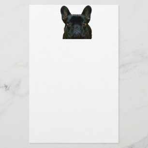 Cute Black French Bulldog Frenchie Photograph: Stationery