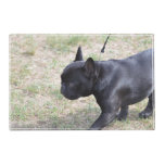 Cute Black French Bulldog Placemat