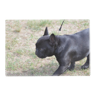 Cute Black French Bulldog Placemat