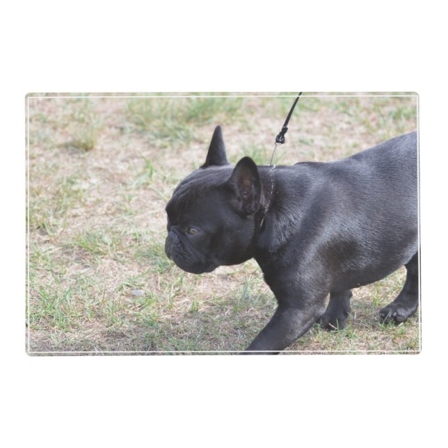 Cute Black French Bulldog Placemat (Back)