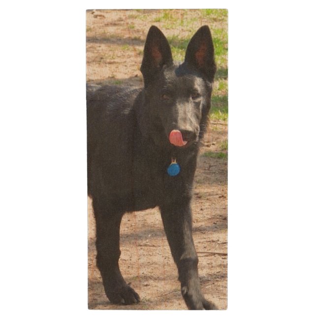 Cute Black German Shepherd Dog Puppy Wood Flash Drive (Front Vertical)
