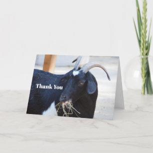 Cute Black Goat Photo Letterpress Thank You Card