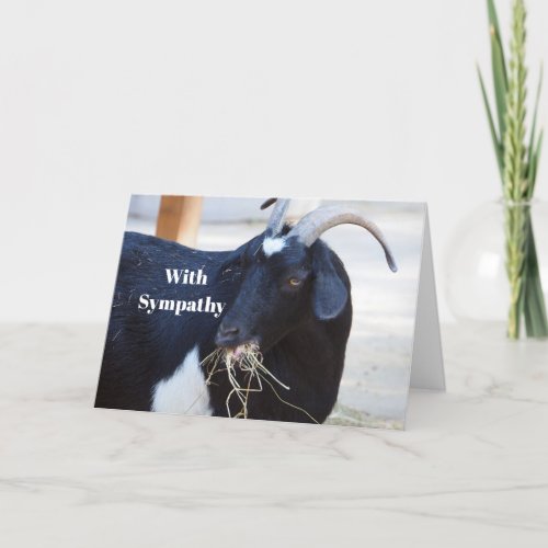 Cute Black Goat Photo Sympathy Card