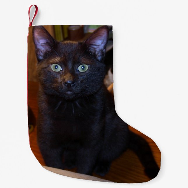 Cute Black Kitten Kitty Cat Photo Small Christmas Stocking (Front)