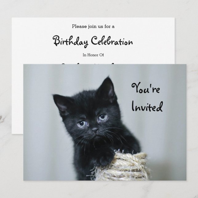 Cute Black Kitten Twine Photo Birthday Invitation (Front/Back)