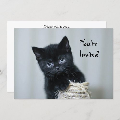 Cute Black Kitten Twine Photo Birthday Invitation