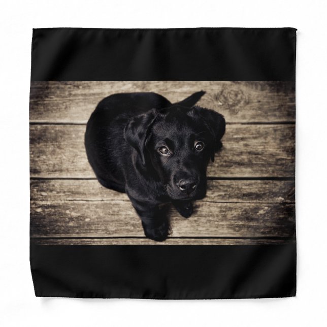Cute Black Lab   Bandana (Front)