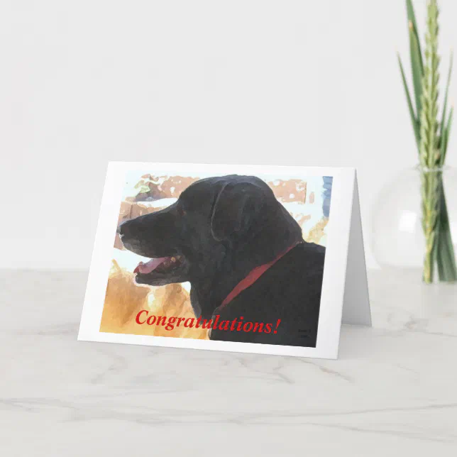 Cute Black Lab Dog Congratulations DVM Graduation Card | Zazzle