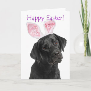 Cute Black Lab Easter Bunny Ears Holiday Card