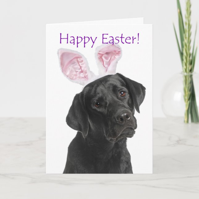 Cute Black Lab Easter Bunny Ears Holiday Card (Front)