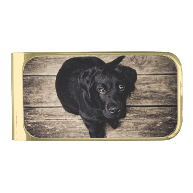 Cute Black Lab   Gold Finish Money Clip (Front)