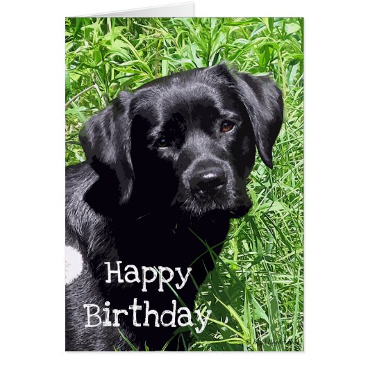 Cute Black Lab Labrador Retriever Dog Cards (Front)