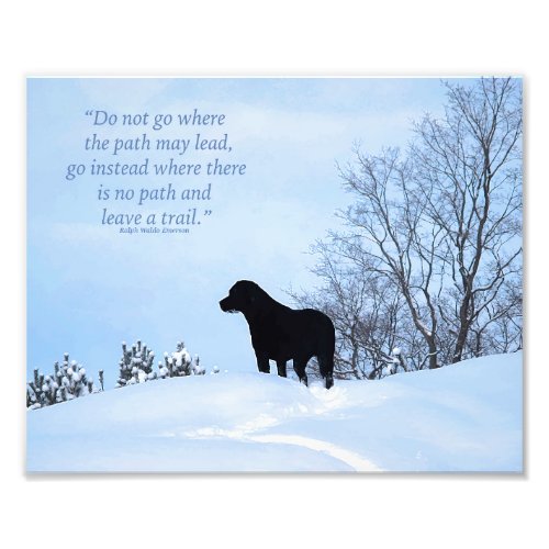 Cute Black Lab Labrador Retriever Dog Photo Print