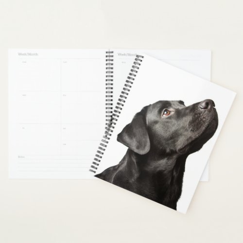 Cute Black Lab Puppy Dog Love Labrador Retriever   Planner