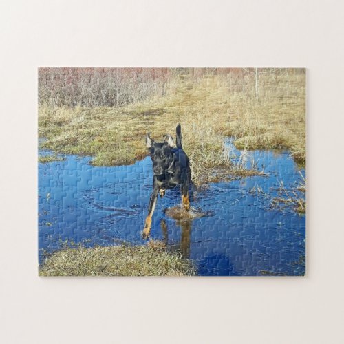 Cute Black Lab Shepherd Dog Jumping in Puddles Jigsaw Puzzle