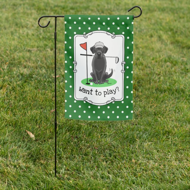 Cute Black Labrador Retriever Dog Playing Golf Garden Flag (In SItu)
