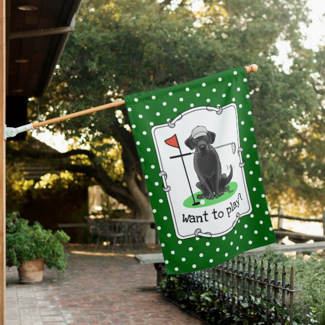 Cute Black Labrador Retriever Dog Playing Golf House Flag (In SItu)