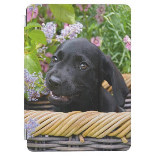 Cute Black Labrador Retriever Dog Puppy Pet Photo iPad Air Cover