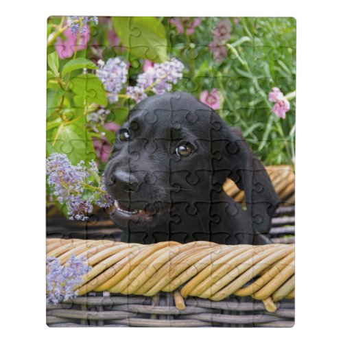 Cute Black Labrador Retriever Dog Puppy Pet Photo Jigsaw Puzzle