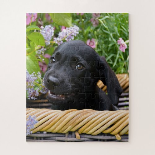 Cute Black Labrador Retriever Dog Puppy Pet Photo Jigsaw Puzzle