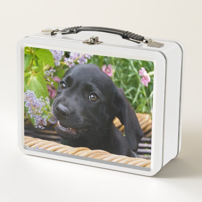 Cute Black Labrador Retriever Dog Puppy Pet Photo Metal Lunch Box (Front)