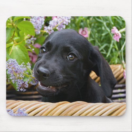 Cute Black Labrador Retriever Dog Puppy Pet Photo Mouse Pad