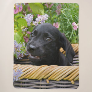Cute Black Labrador Retriever Dog Puppy Pet Photo Sherpa Blanket