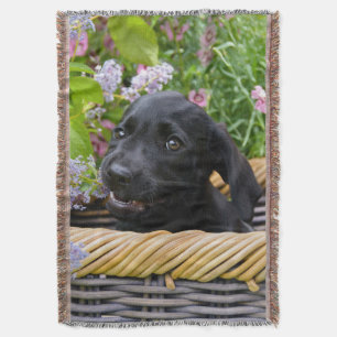 Cute Black Labrador Retriever Dog Puppy Pet Photo Throw Blanket