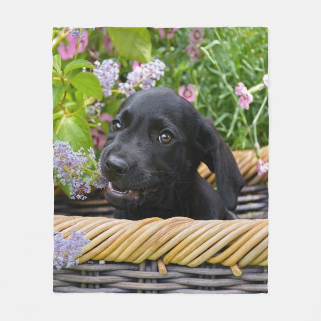 Cute Black Labrador Retriever Dog Puppy Photo on Fleece Blanket (Front)