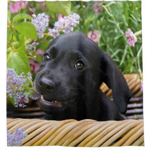 Cute Black Labrador Retriever Dog Puppy Photo  Tub Shower Curtain