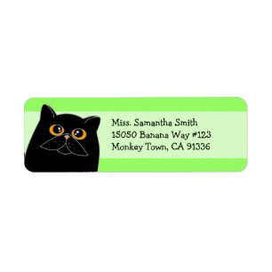 Cute Black Persian Cat Return Address Labels