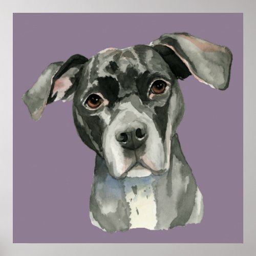 Cute Black Pit Bull Dog Watercolor Portrait Poster