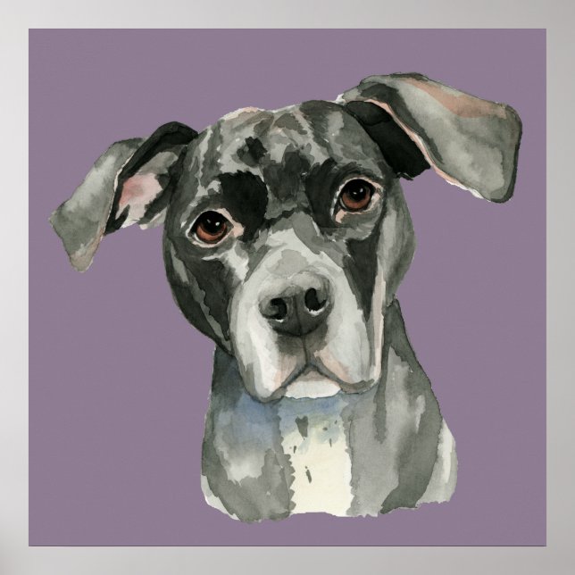 Cute Black Pit Bull Dog Watercolor Portrait Poster (Front)