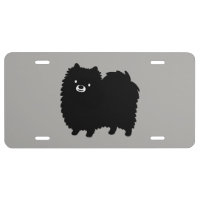 Cute Black Pomeranian Dog