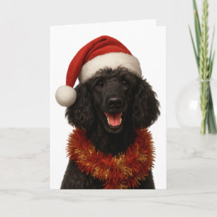 Cute black Poodle Christmas card